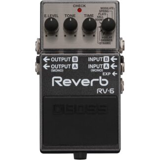 Reverb Pedal Picture